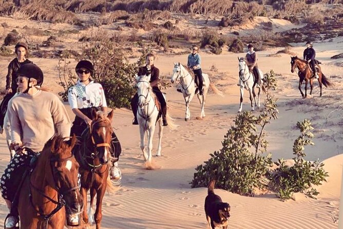 5 hours ride + picnic - Leaving Diabat for a five-hour ride