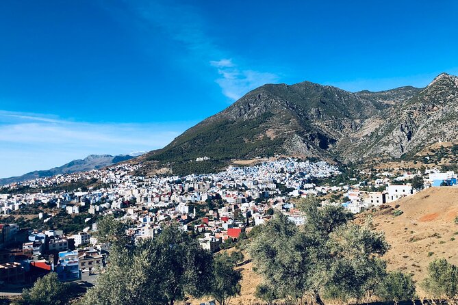 6 Days Private Morocco Tour from Casablanca to Marrakech - Day 6: Kasbahs, film country, and arrival in Marrakech