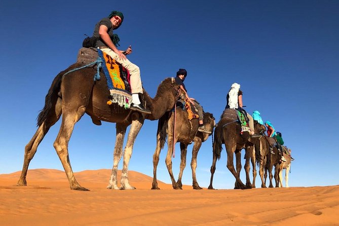 7-days: Casablanca to Chefchaouen then Fes and Sahara Desert - Camel Trekking - From Casablanca to Morocco’s blue mountain town