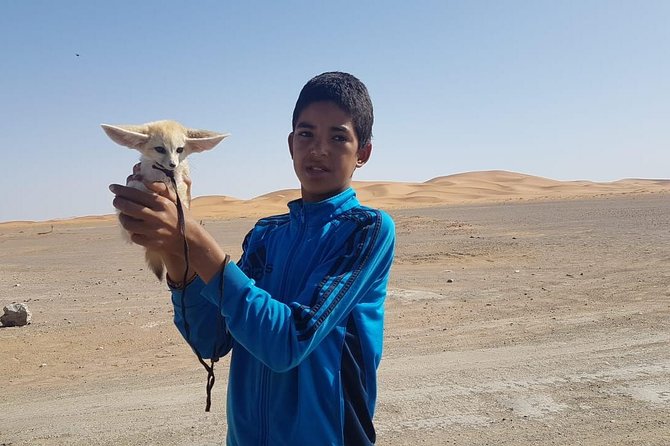 7-days: Casablanca to Chefchaouen then Fes and Sahara Desert - Camel Trekking - Who should choose this Moroccan route?