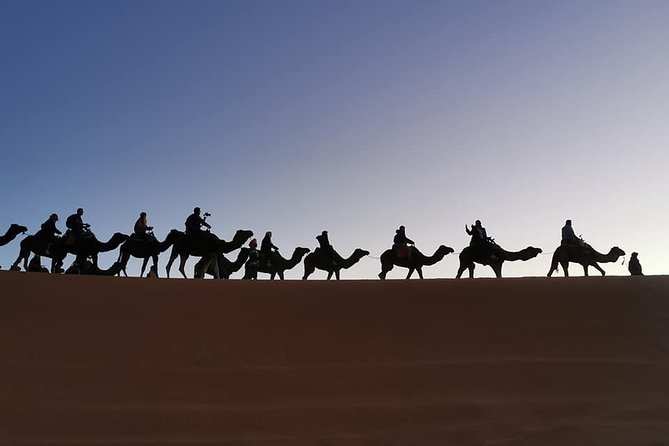 7 Days Discovery The Atlas Mountains & Luxury Sahara Desert From Casablanca - What the $2,000 price really buys