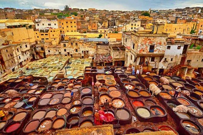 7 Days Luxury Desert Tour From Casablanca to Marrakech via fez -Camel trekking - Day 3: Cedar monkeys, Middle Atlas roads, and Merzouga