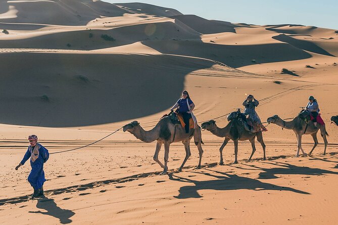 7 Days Luxury Desert Tour From Casablanca to Marrakech via fez -Camel trekking - Day 6: Marrakech’s palaces, gardens, and evening square