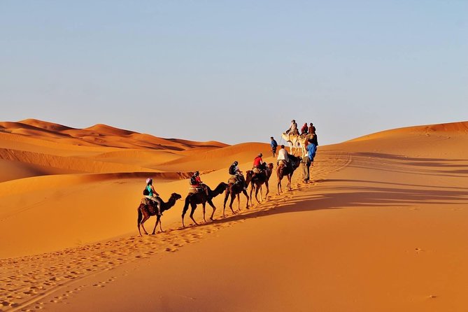 8 - Day Morocco Tour from Casablanca via Chefchaouen & Desert - Who should book this Morocco route