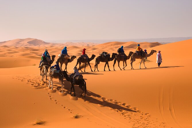 8D Morocco Luxury Private Tour From Casablanca By Imperial Cities - Chefchaouen, Volubilis, and Meknes in one demanding day