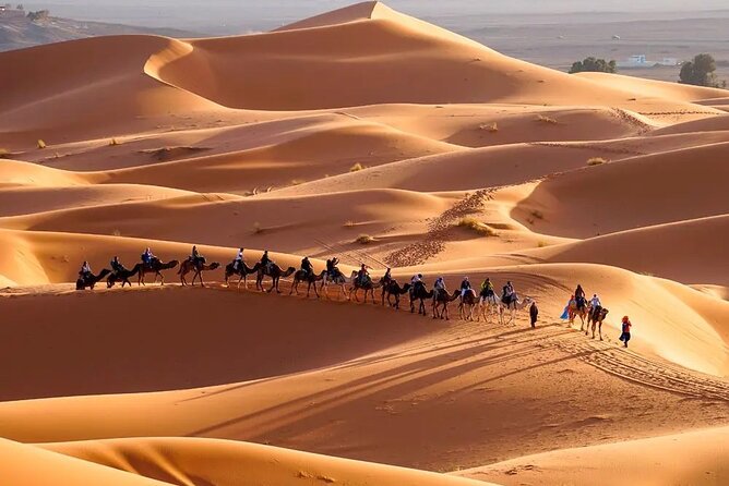 9 Days tour from casablanca to the desert via chefchauen , fez - Day 3: Volubilis, Meknes, and arrival in Fez