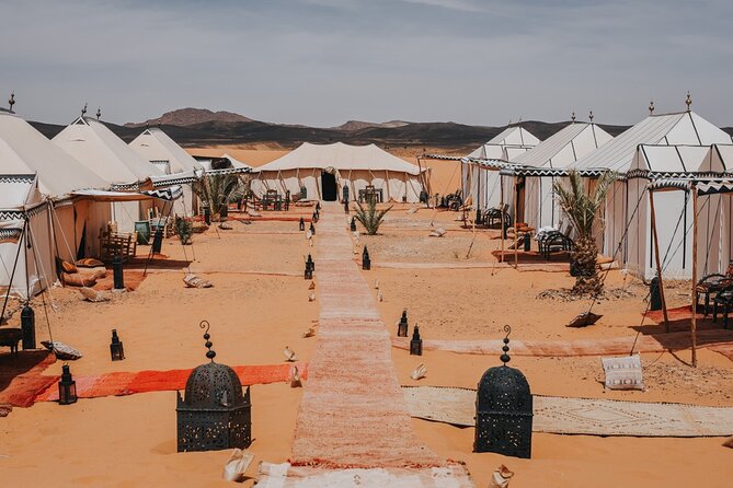 9 Days tour from casablanca to the desert via chefchauen , fez - Day 5: Middle Atlas forests and the Merzouga dunes