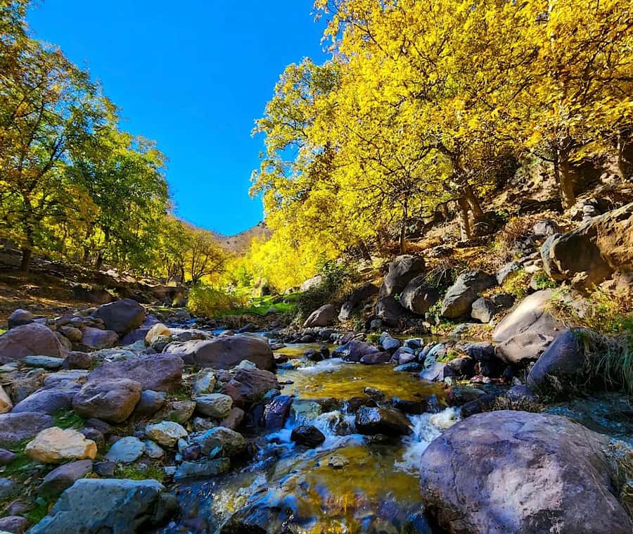 A Day With The Berbers - 3 Valleys Day Trip from Marrakech - Who will enjoy this day most