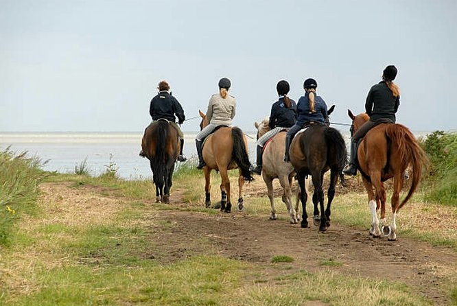 Agadir 2-Hour Horse Riding Experience with Pickup - Guides and the Pace of the Ride