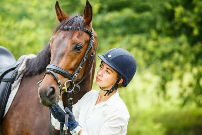 Agadir 2-Hour Horse Riding Experience with Pickup - Pickup, Port Transfers, and Timing