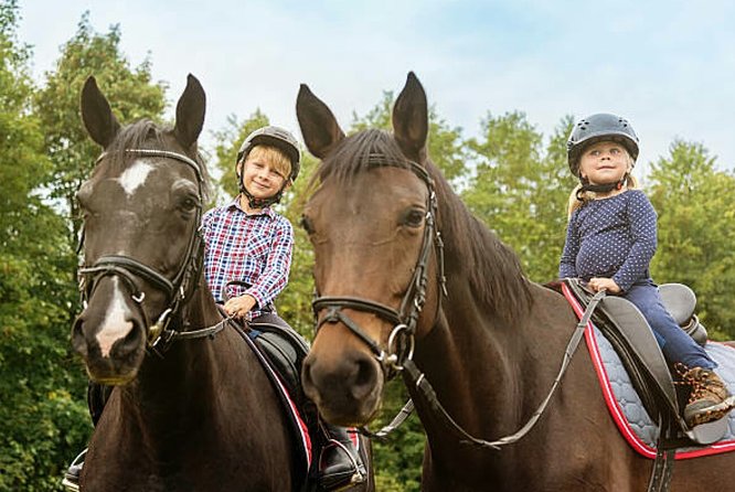 Agadir 2-Hour Horse Riding Experience with Pickup - The Horses, Equipment, and Safety Check