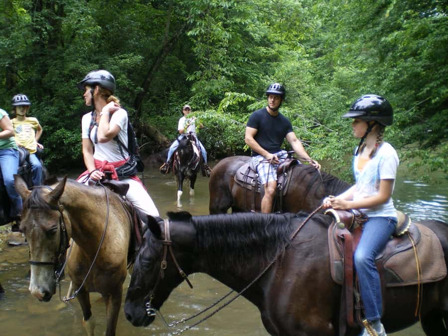 Agadir 2hours Horse Riding visite the flamingo river - Safety, clothing, and small practical details