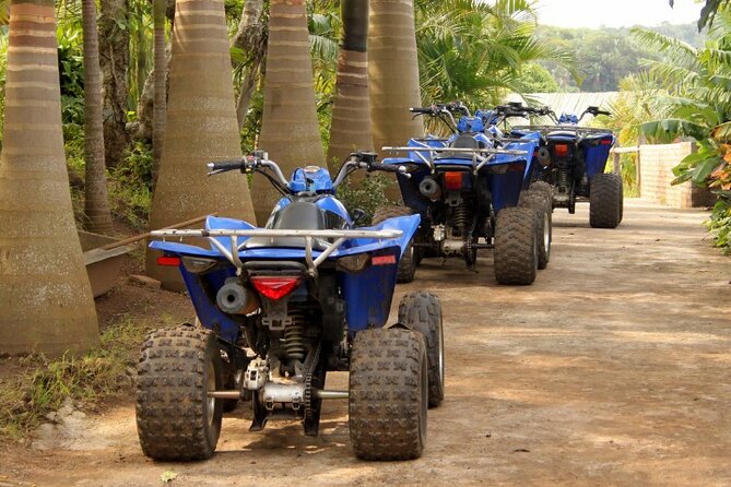 Agadir Adventure Tour with Quad Biking Experience - What the $47.12 price buys you