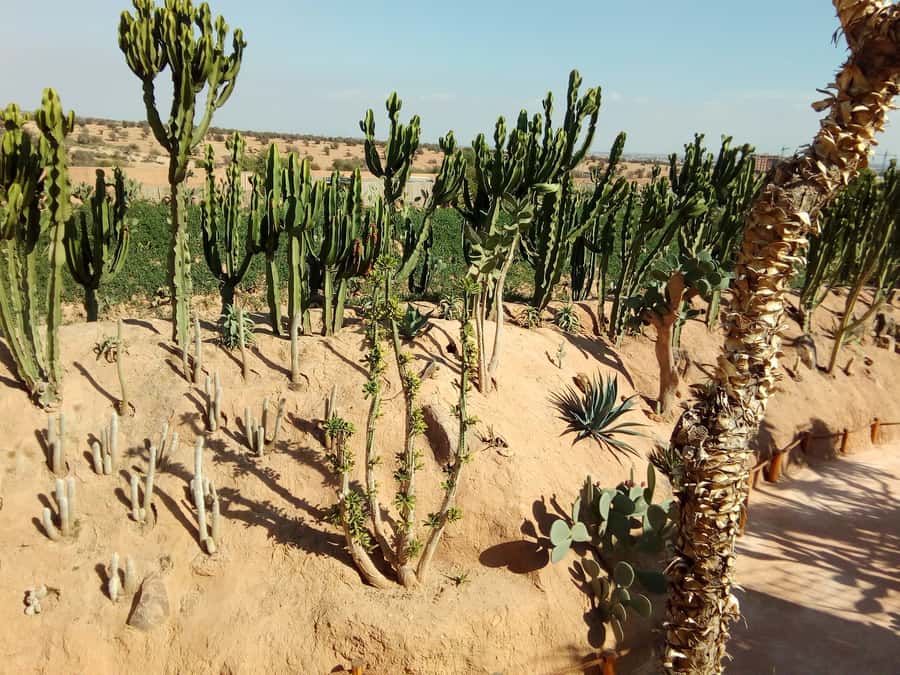 Agadir: Agadir Crocodile Park Adventure - Is $35 good value?