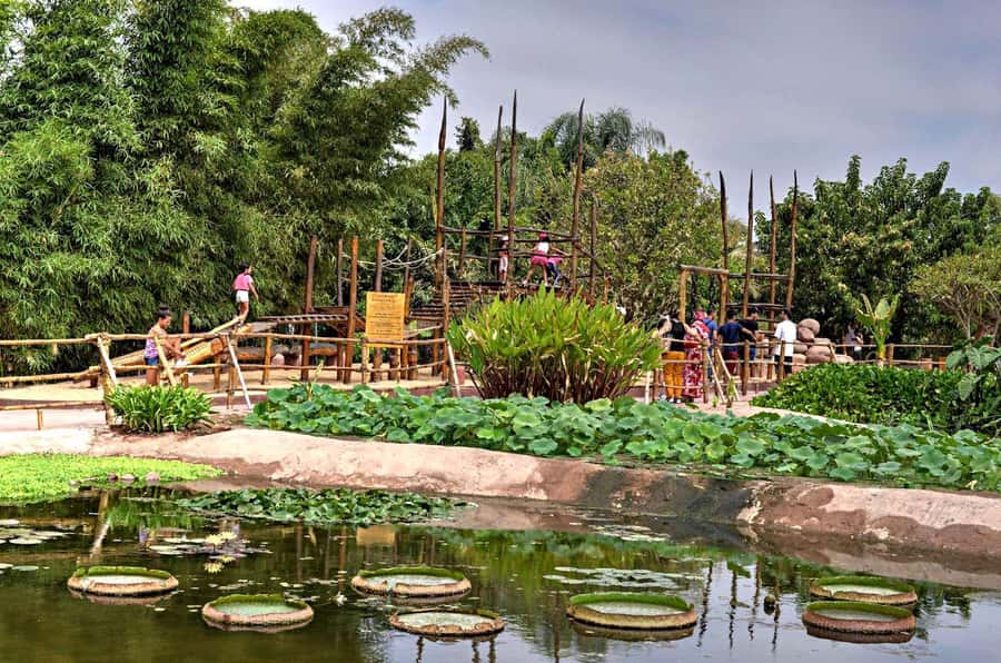 Agadir: Agadir Crocodile Park Adventure - Why the crocodile park is worth your time