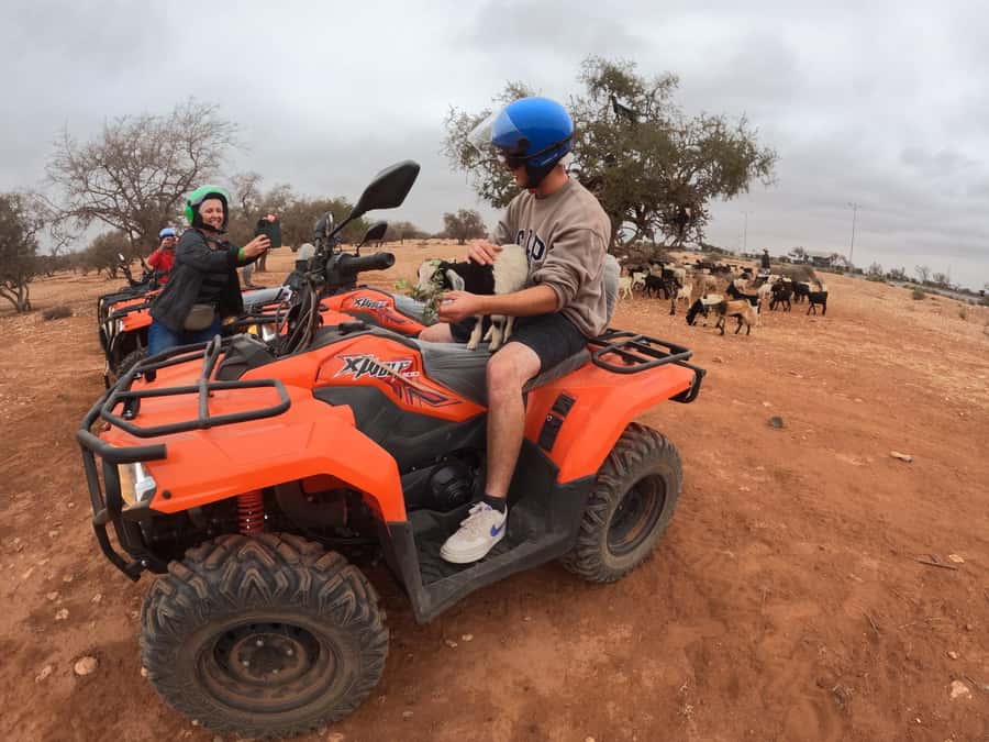 Agadir: Agafay Desert Quad Biking With Goats On The Tree - Key points before you book