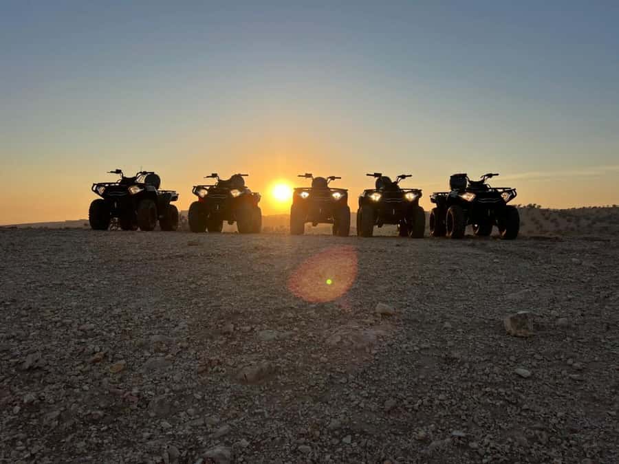 Agadir: Agafay Desert Quad Biking With Goats On The Tree - Meeting the goats in the argan trees