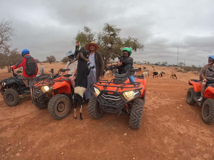 Agadir: Agafay Desert Quad Biking With Goats On The Tree - Is $31 good value?