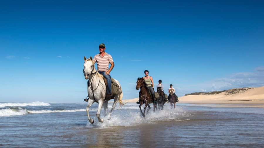 Agadir and Taghazout: 2-Hour Horseback Ride on the Beach - Who should book this beach ride?
