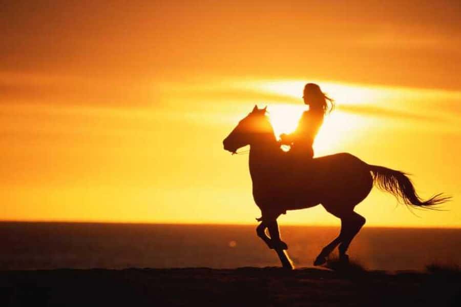 Agadir and Taghazout: 2-Hour Horseback Ride on the Beach - Riding the Atlantic shore near Agadir and Taghazout