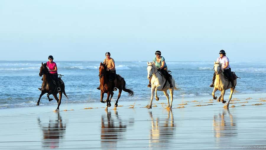 Agadir and Taghazout: 2-Hour Horseback Ride on the Beach - At the Ouirer beach stop
