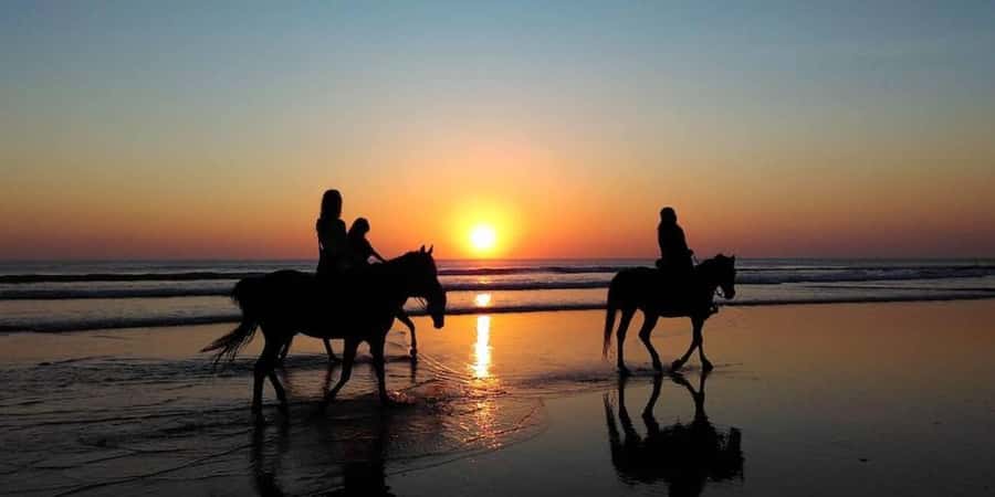 Agadir and Taghazout: 2-Hour Horseback Ride on the Beach - Sunset timing, sunrise starts, and the photo stops