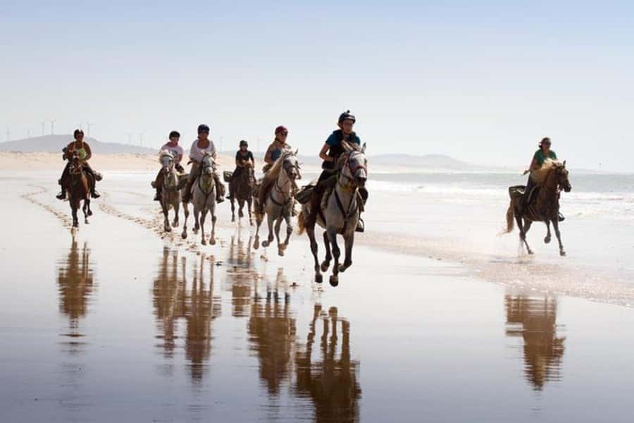 Agadir and Taghazout: 2-Hour Horseback Ride on the Beach - Beginners, experienced riders, and families
