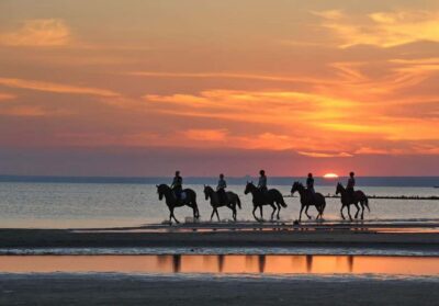 Agadir and Taghazout: Morning Horse Ride on The Beach