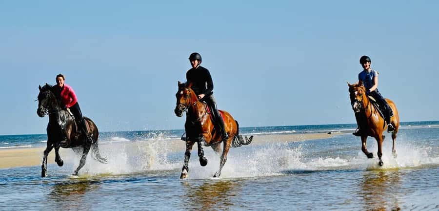 Agadir and Taghazout: Morning Horse Ride on The Beach - Walking, trotting, cantering, and galloping
