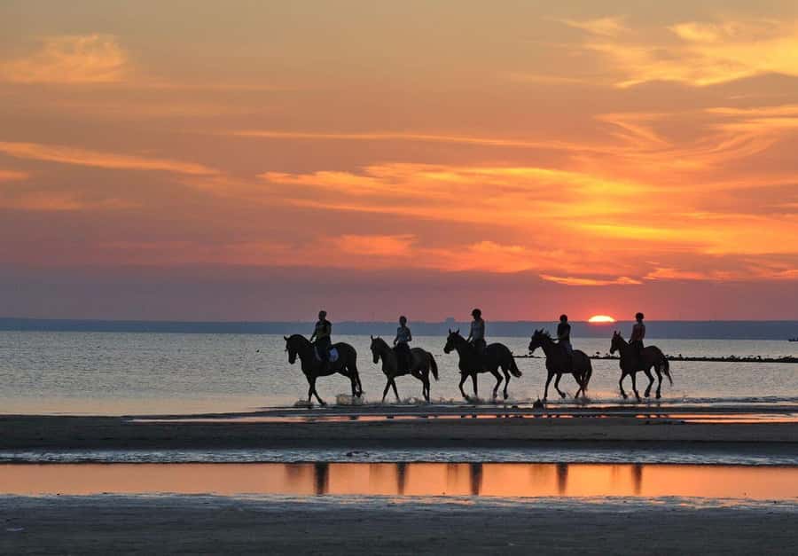 Agadir and Taghazout: Morning Horse Ride on The Beach - What happens before you reach the beach