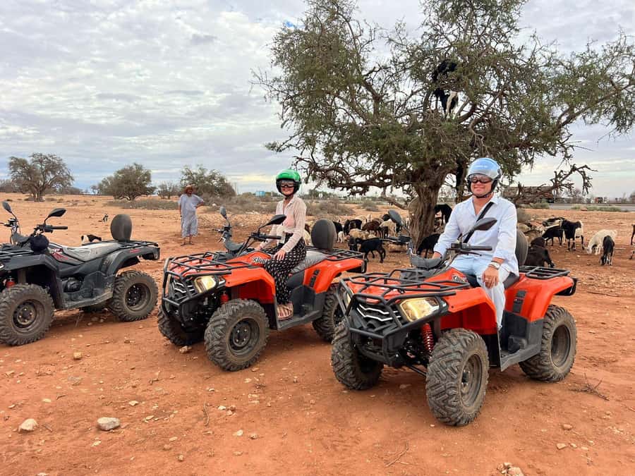 Agadir: ATV Quad Biking and Goats On Argan Trees with Tea - Two hours of riding near Agadir