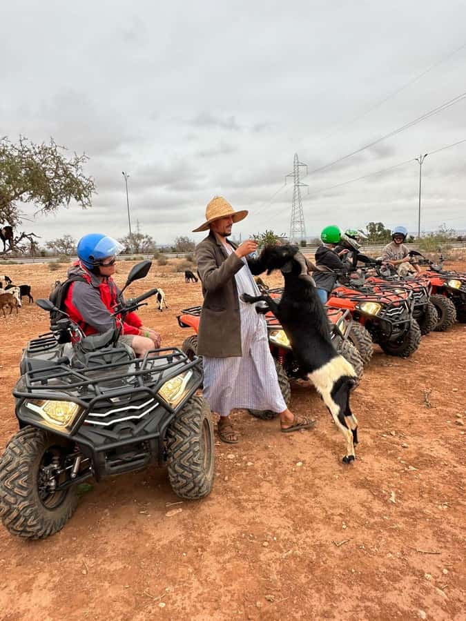 Agadir: ATV Quad Biking and Goats On Argan Trees with Tea - Mint tea under a Berber tent