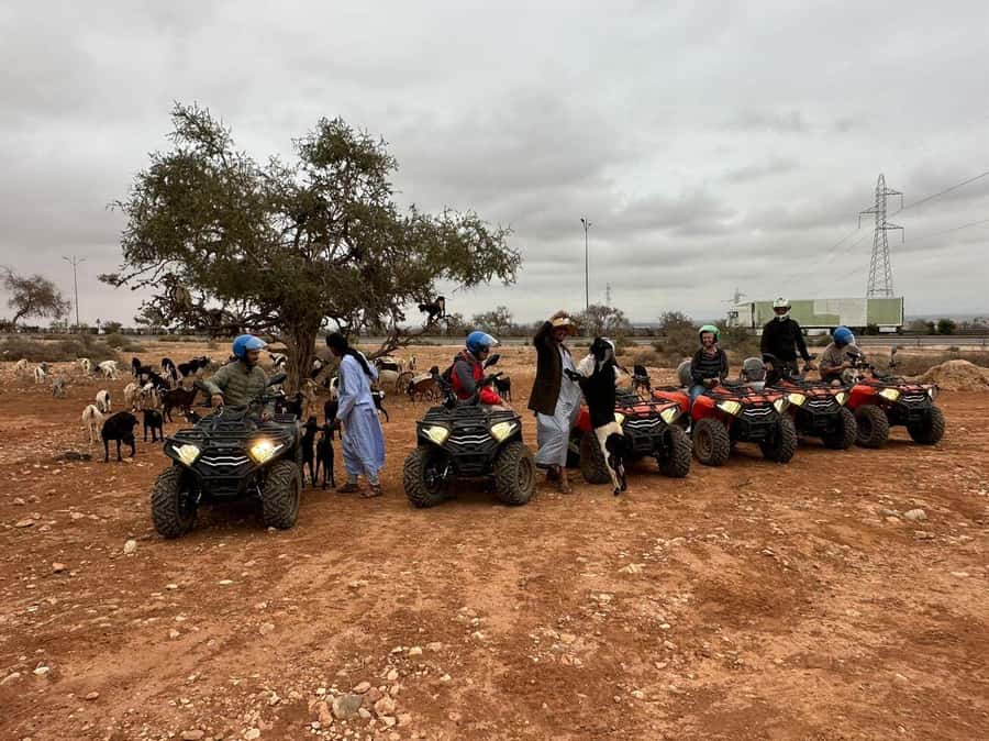 Agadir: ATV Quad Biking and Goats On Argan Trees with Tea - Who will enjoy this most?