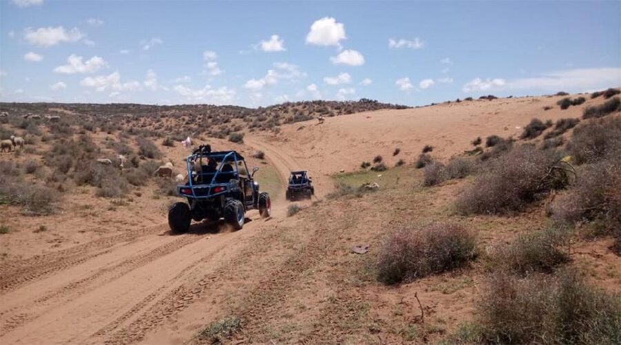 Agadir: Buggy Safari Adventure - Who should book this Agadir buggy safari?