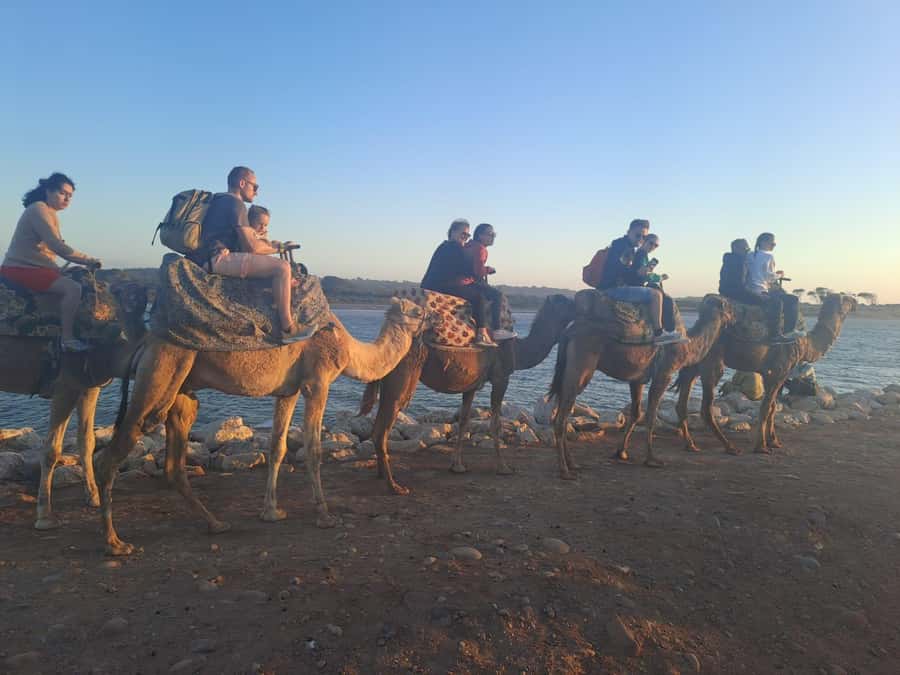 Agadir: Camel or Horse Ride + BBQ & Transfer Sunset Optional - Camel riding through Agadir’s wooded back roads