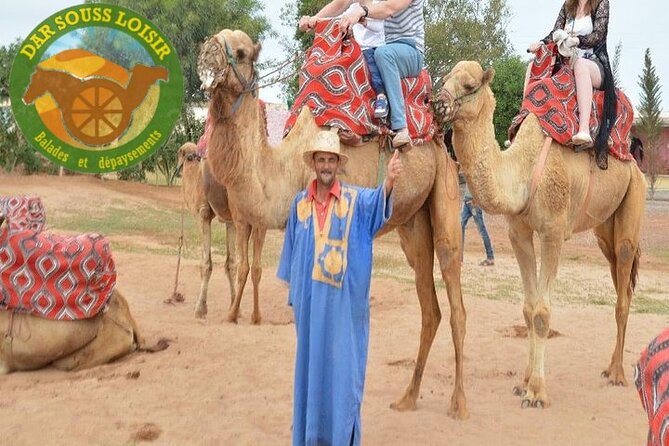 Agadir Camel Ride Experience - A short ride from Agadir to the camel ranch