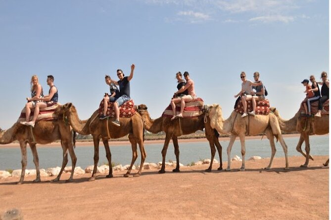 Agadir Camel Ride Experience - Returning to the ranch for tea and Moroccan cakes