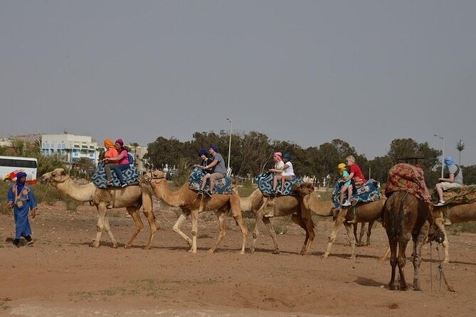 Agadir Camel Ride Experience - What the $42.97 price includes