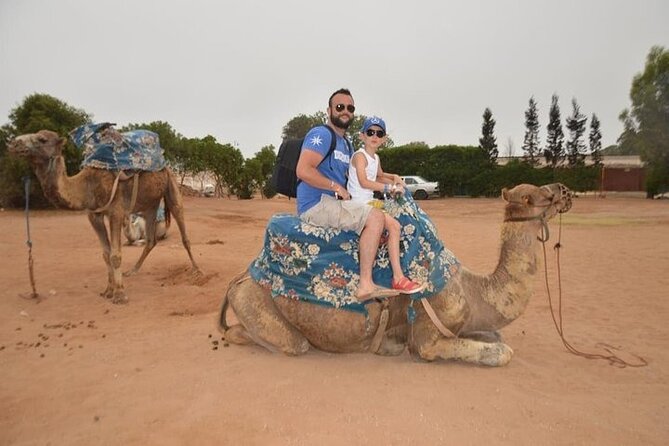 Agadir Camel Ride Experience - Who should book this Agadir camel ride?
