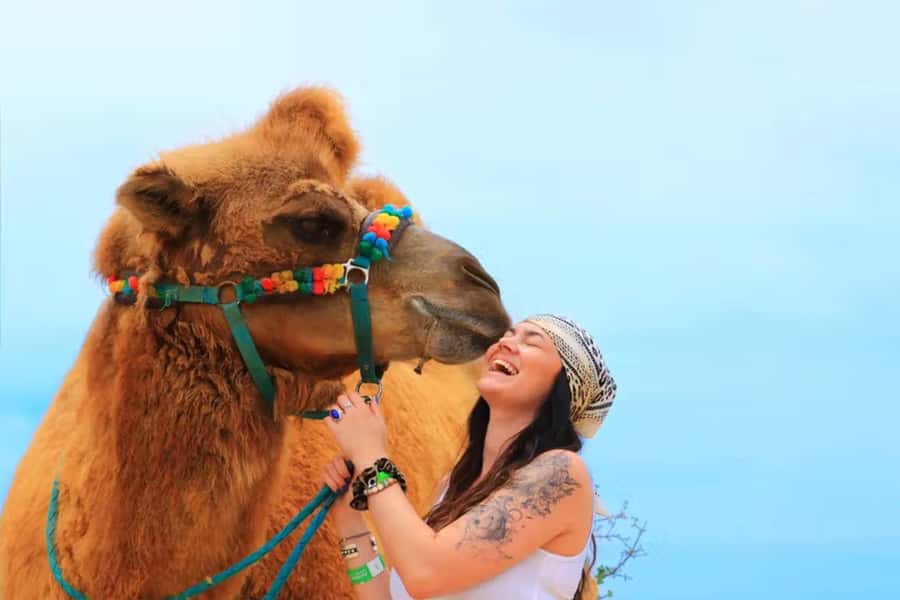 Agadir: Camel Ride Experience With Dinner Option - A short ride from Agadir to the camel ranch