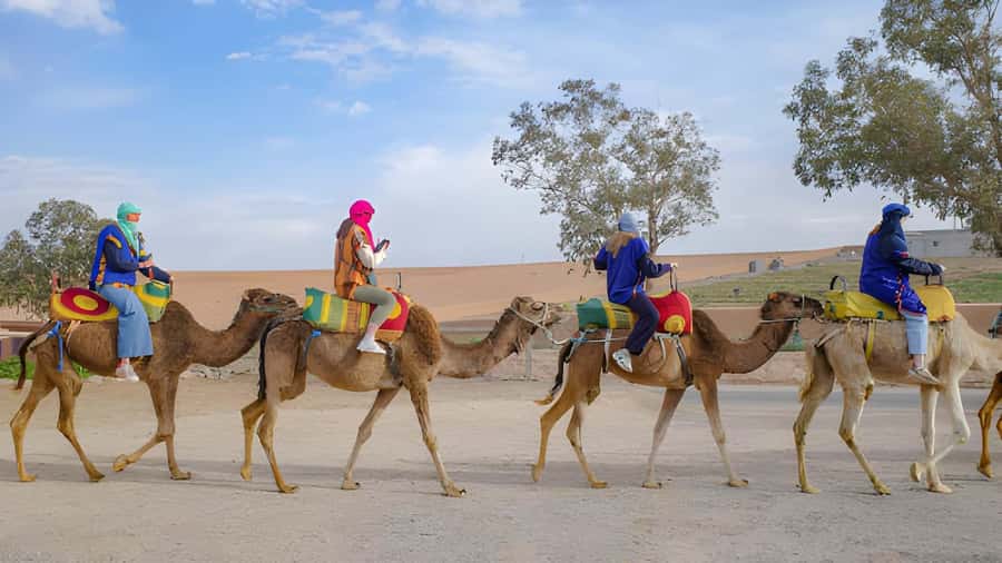 Agadir: Camel Ride Experience With Dinner Option - What riding a camel is really like