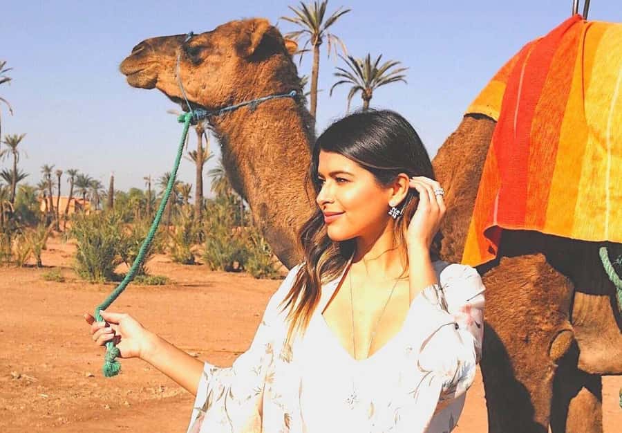 Agadir: Camel Ride Experience With Dinner Option - Tea, biscuits, and the dinner option