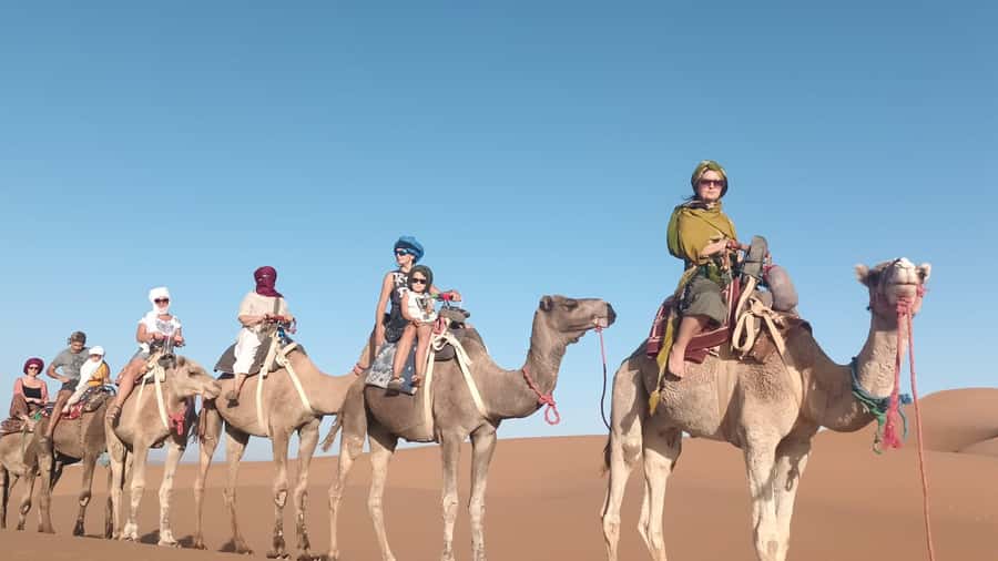 Agadir: Camel Ride Experience With Dinner Option - What the experience suits best