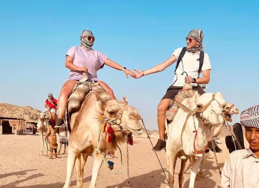 Agadir: Camel Ride Experience With Dinner Option - Eucalyptus trees, the Souss River, and the King’s Palace area