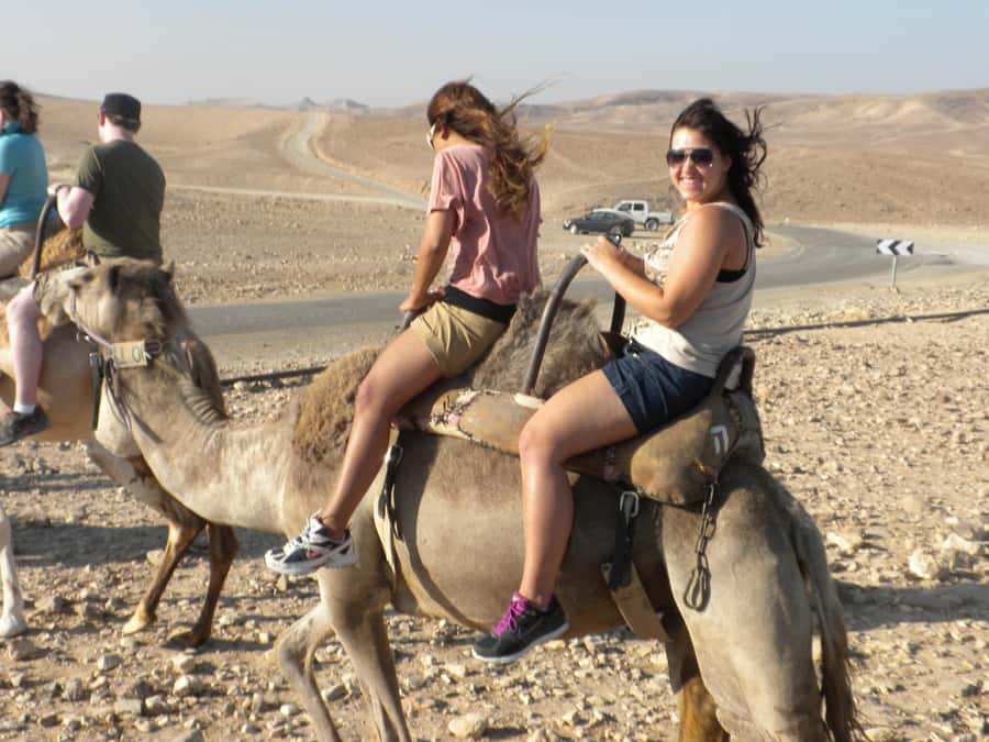 Agadir Camel Ride Flamingo River & BBQ Dinner - Key points to know before booking