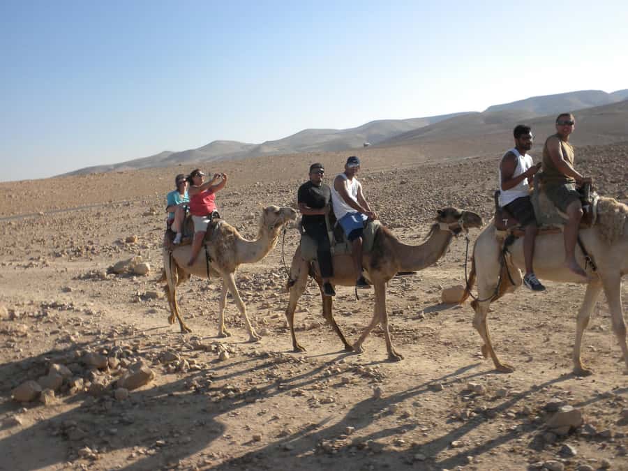 Agadir Camel Ride Flamingo River & BBQ Dinner - Mint tea and a pause in the countryside