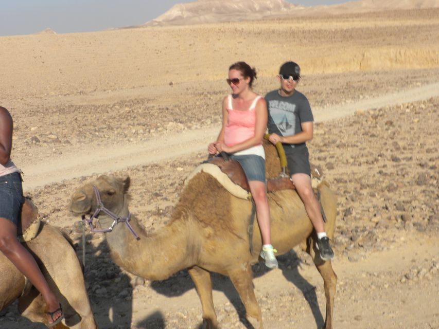 Agadir Camel Ride Flamingo River & BBQ Dinner - What the guide service is like