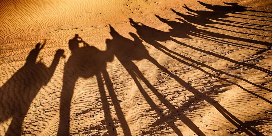 Agadir: Camel Ride With Tea - Should you book the Souss River camel ride?