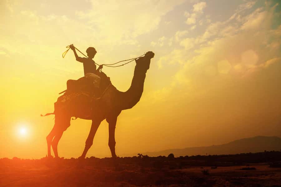 Agadir: Camel Ride With Tea - From your hotel to the ranch near the palace