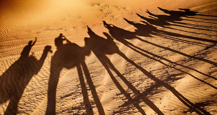 Agadir: Camel Ride With Tea - Following the Souss River
